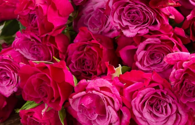 mothers day stall