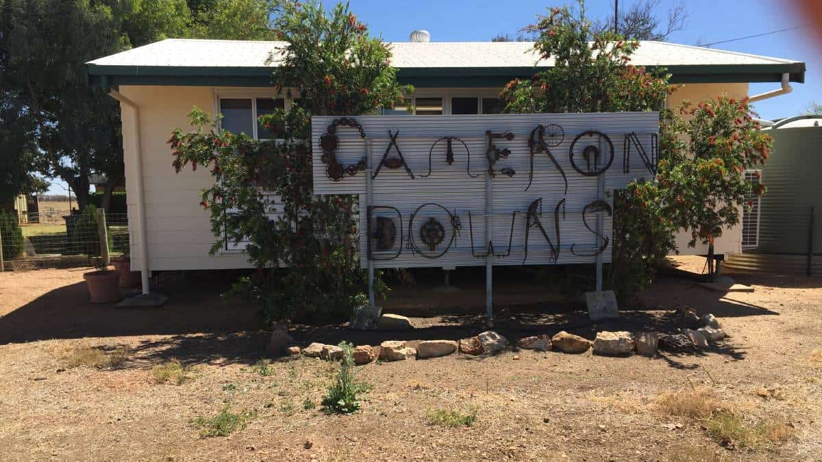 cameron downs state school fete