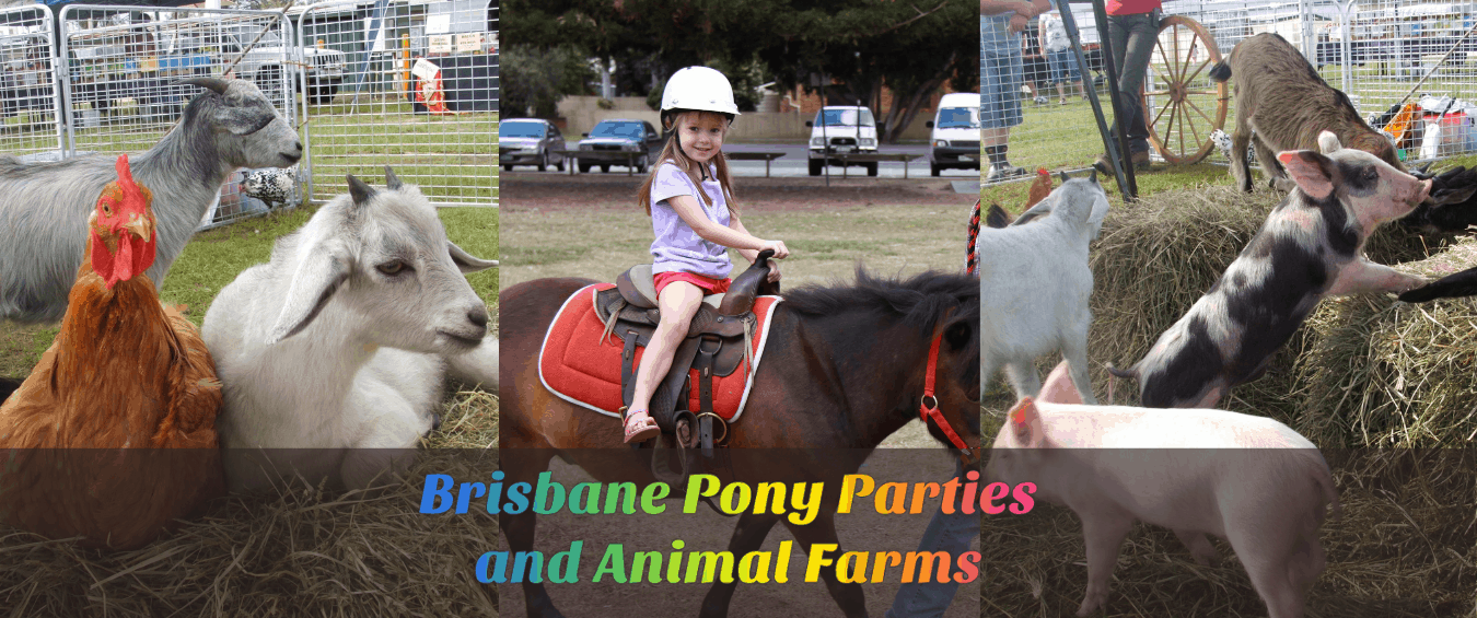 Brisbane Pony Parties & Animal Farms