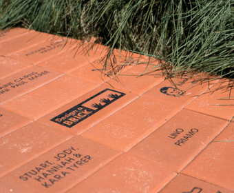 Design a Brick