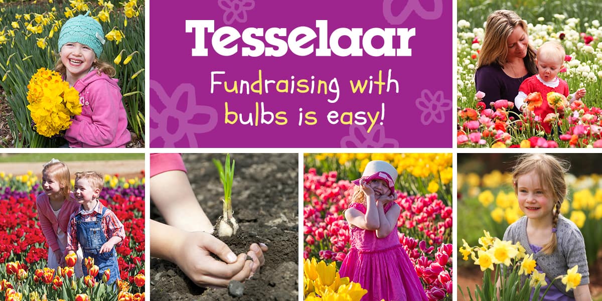 TES656_Fund_1200x600px Fundraising Directory