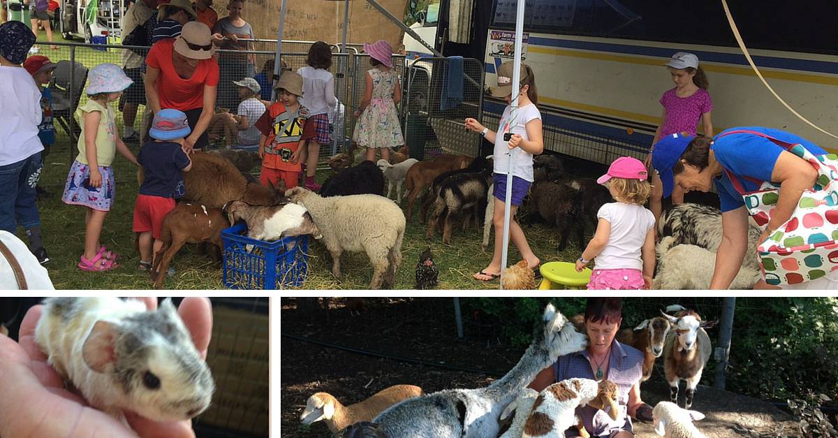 Viv’s Farm Animals
