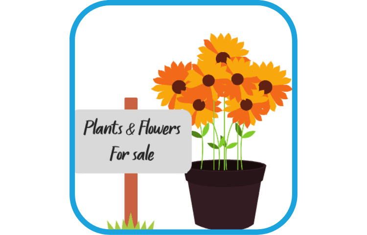 plant stall